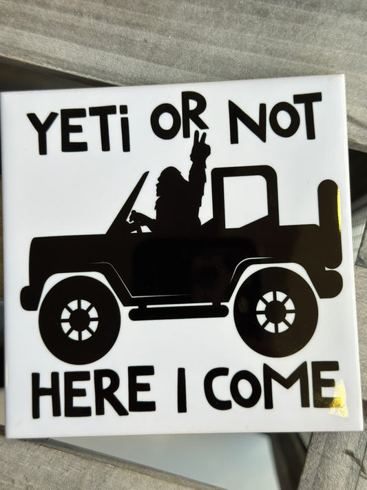 Coaster - Yeti or not here I come